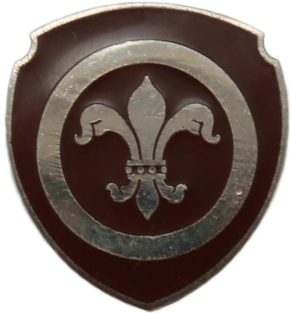 Type 1